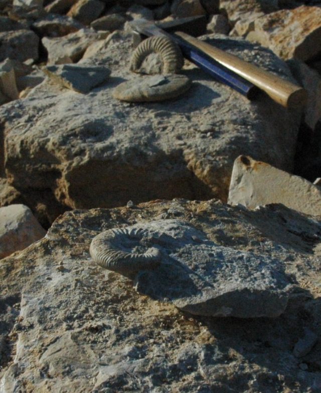 Fossiliensammelstelle Titting